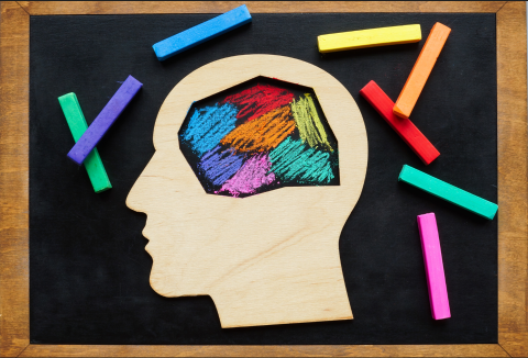 A brain with different colours inside - blue, purple, pink, yellow, green, orange and red