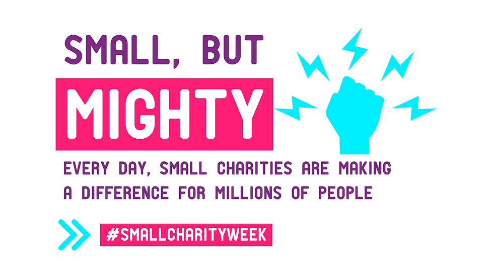 Words: Small but mighty #SmallCharityWeek
